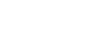 BlueInk Digital